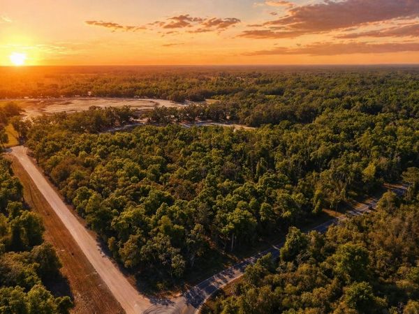 TBD NE 399TH STREET, Old Town, FL 32680