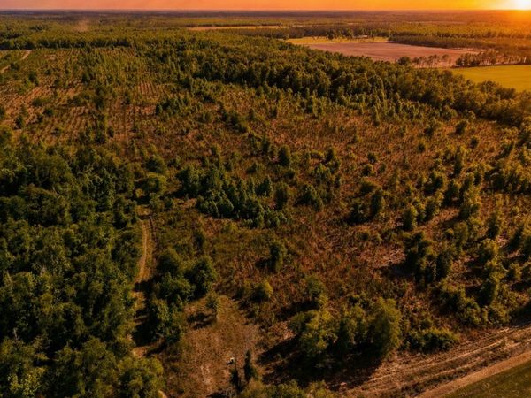 TBD 178TH STREET, Live Oak, FL 32064