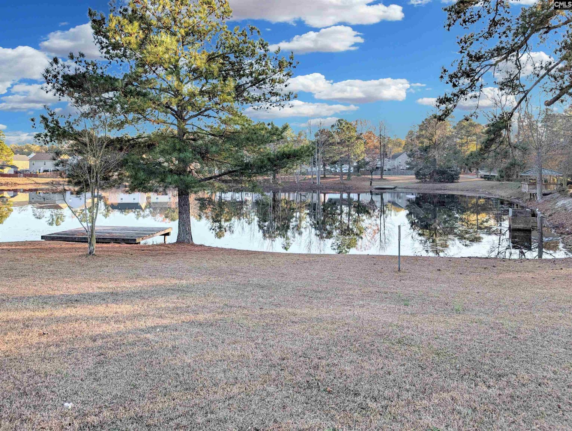 1253 Rabon Pond Photo 4