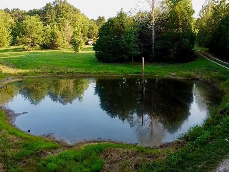 Property Image 65