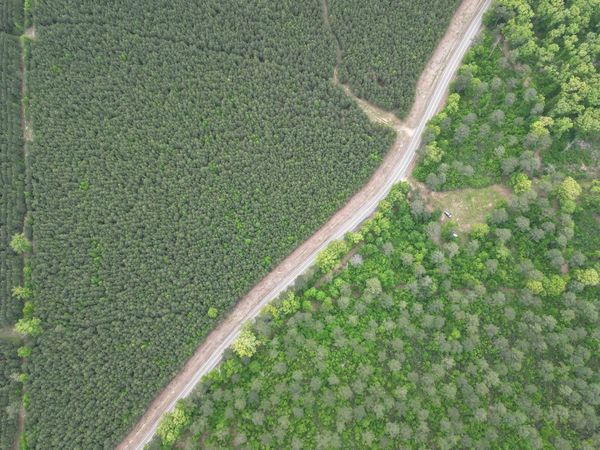 Parcel 2 Highway 172 , Monticello, AR 71675