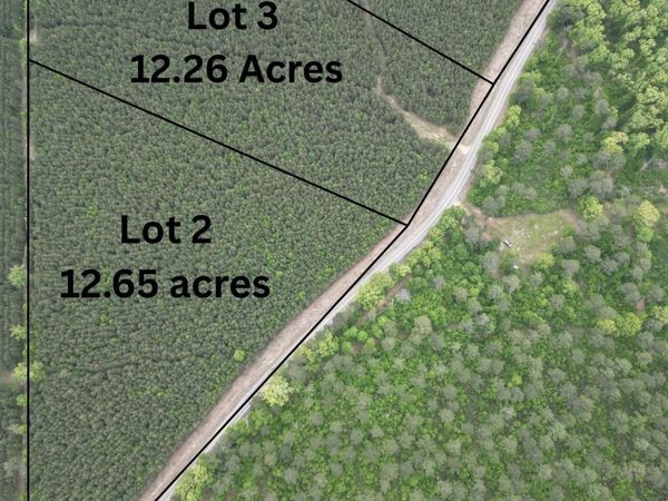 Parcel 2 Highway 172, Monticello, AR 71675