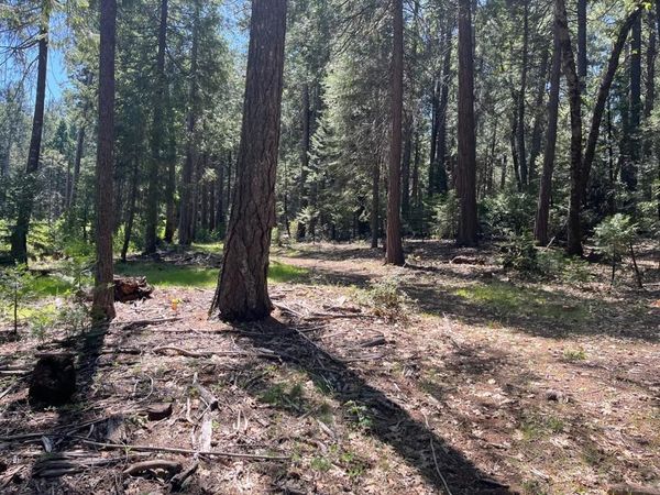 Nevada City, CA 95959