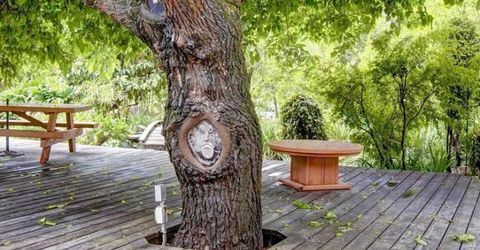 4141 Karl Dr, Diamond Springs, CA 95619 Photo