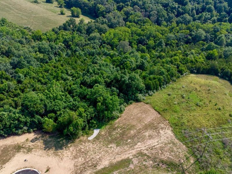 590 Claiborne Drive, Dry Ridge, KY 41035 Photo 10