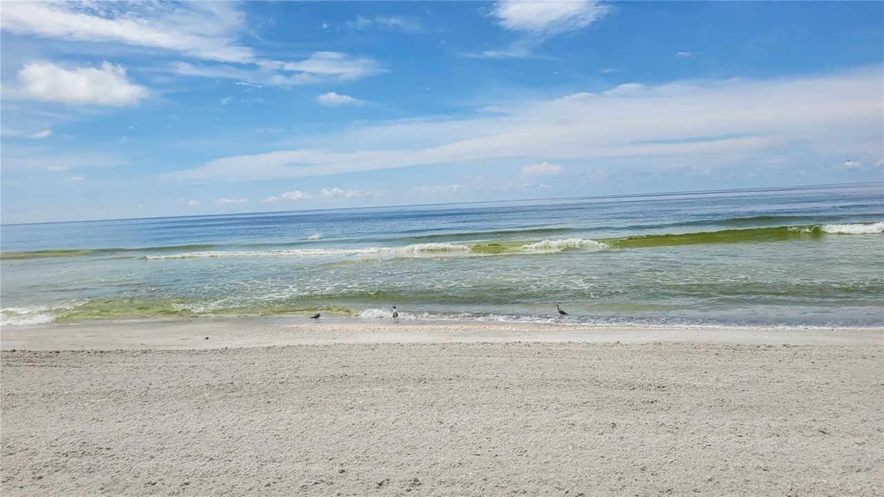 1000 Longboat Club Road , Unit 406, Longboat Key, FL 34228 Photo