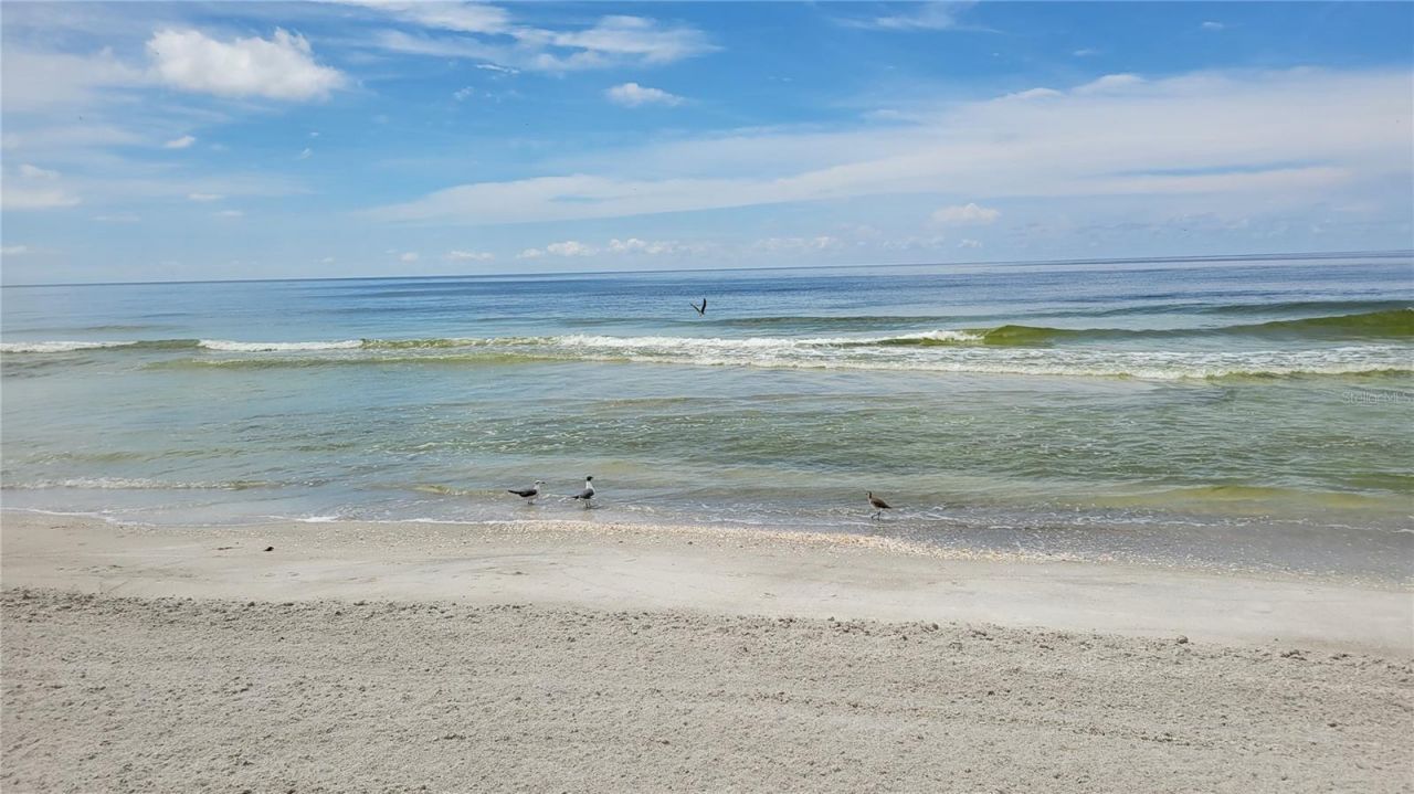 1000 Longboat Club Road , Unit 406, Longboat Key, FL 34228 Photo