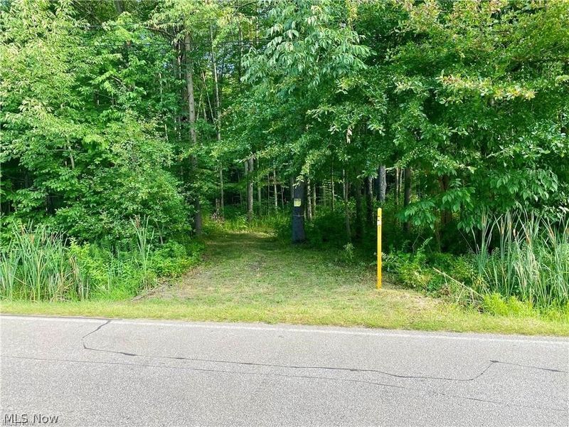 Footville Richmond Road, Jefferson, OH 44047 Photo 2