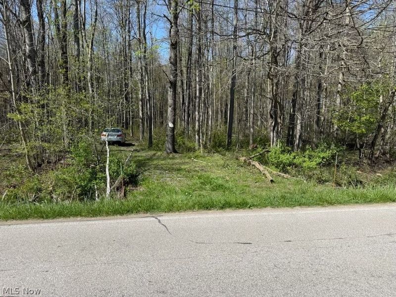 Footville Richmond Road, Jefferson, OH 44047 Photo 5