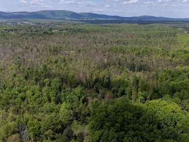 0 PADDOCK WOOD RD , ZION CROSSROADS, VA 22942