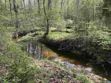 0 PADDOCK WOOD RD , ZION CROSSROADS, VA 22942