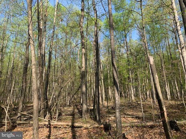 BLACK BEAR ROAD , NEEDMORE, PA 17238