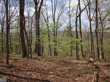 OAK DRIVE , WINCHESTER, VA 22603