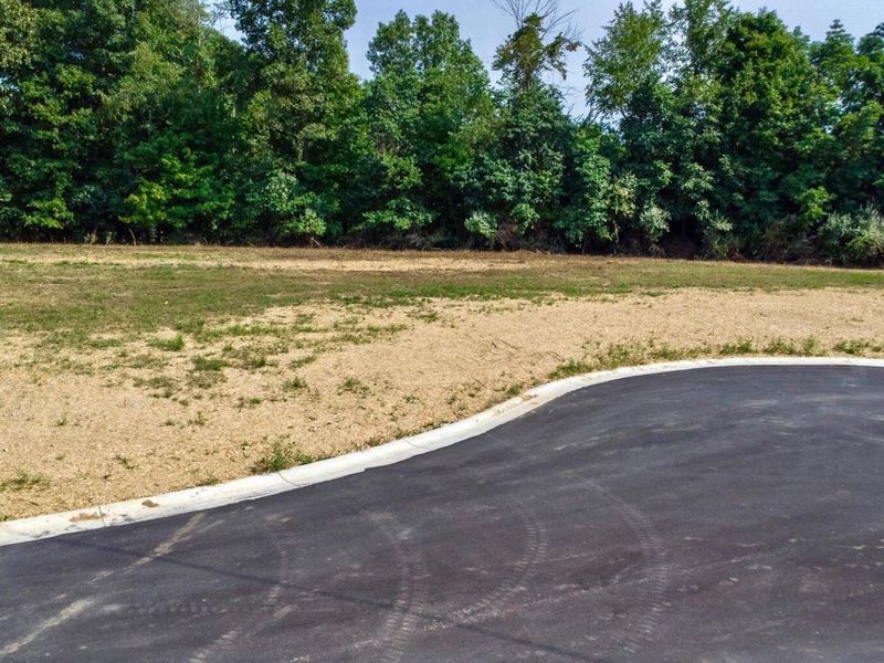 580 Claiborne Drive, Dry Ridge, KY 41035 Photo 9