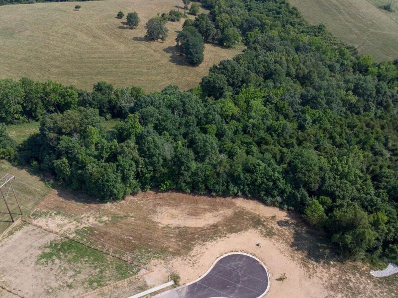 580 Claiborne Drive, Dry Ridge, KY 41035 Photo 9