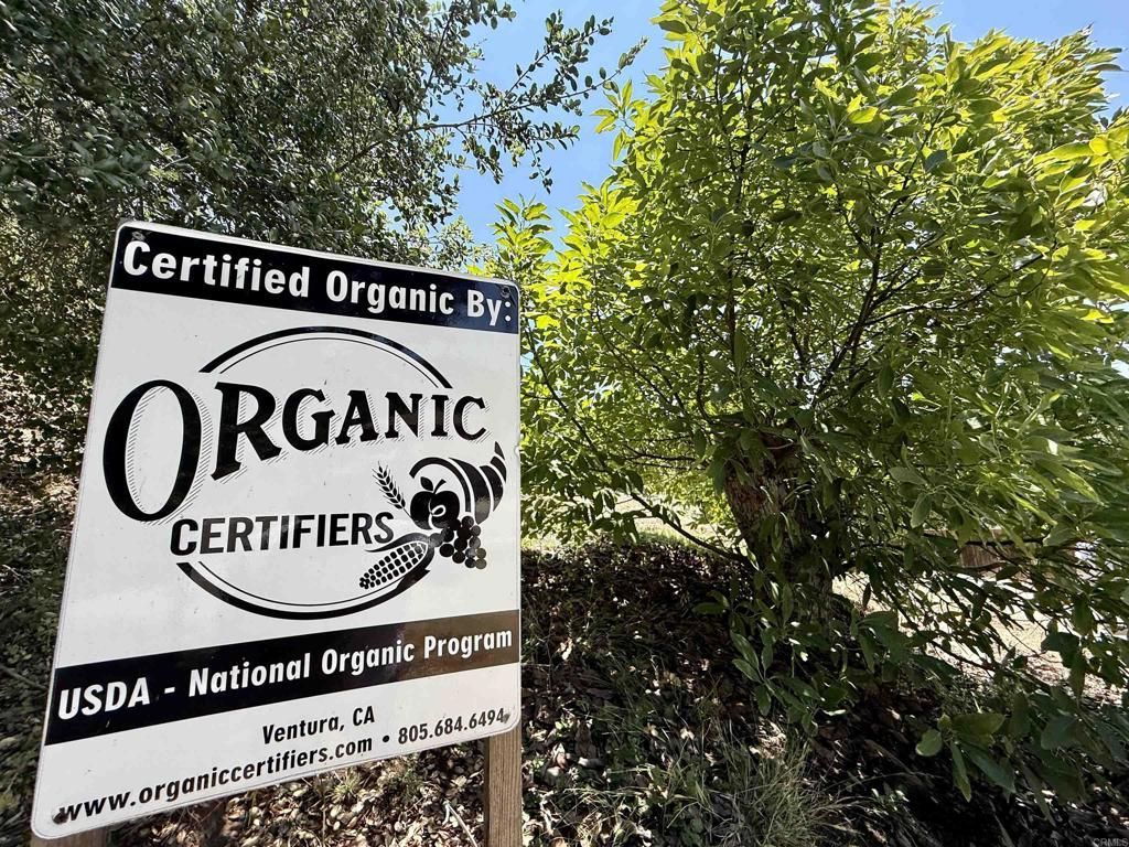 3137 E Valley Parkway, Escondido, CA 92027 Main Photo