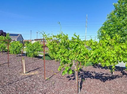 9096 Vervain Way, Sacramento, CA 95829 Photo