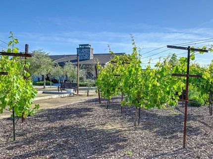 9096 Vervain Way, Sacramento, CA 95829 Photo