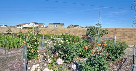 9096 Vervain Way, Sacramento, CA 95829 Photo