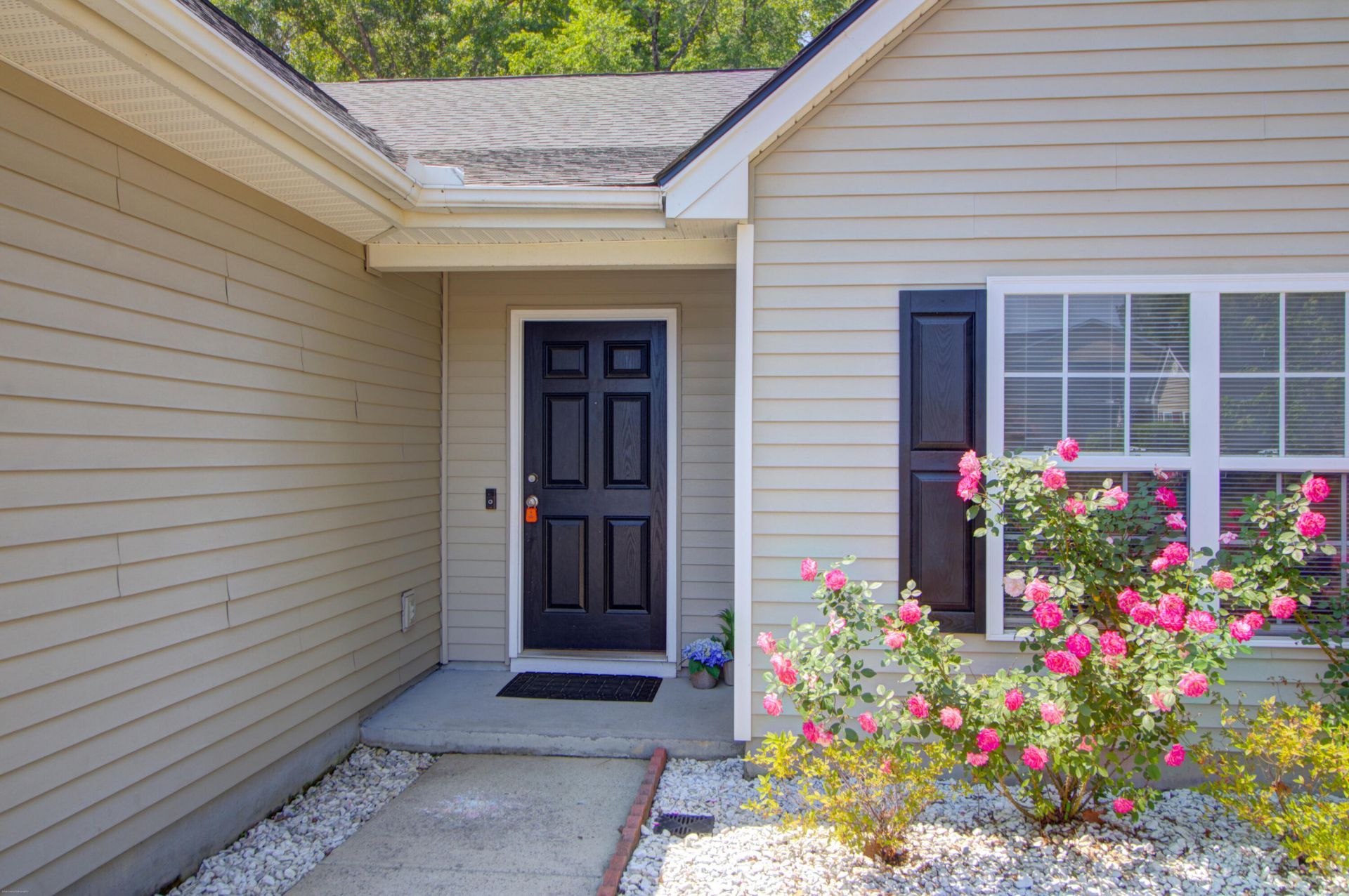 139 Old Tree Road Photo 45