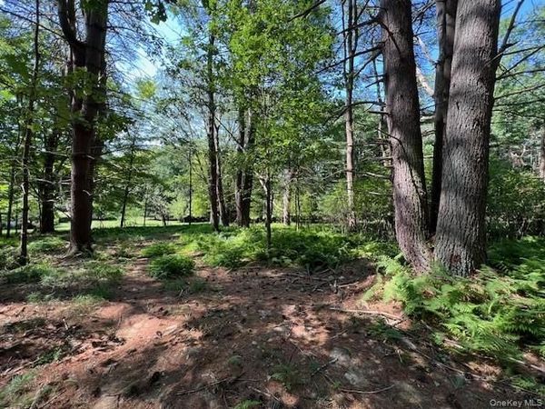 Lot 47.3 High Road , Glen Spey, NY 12737