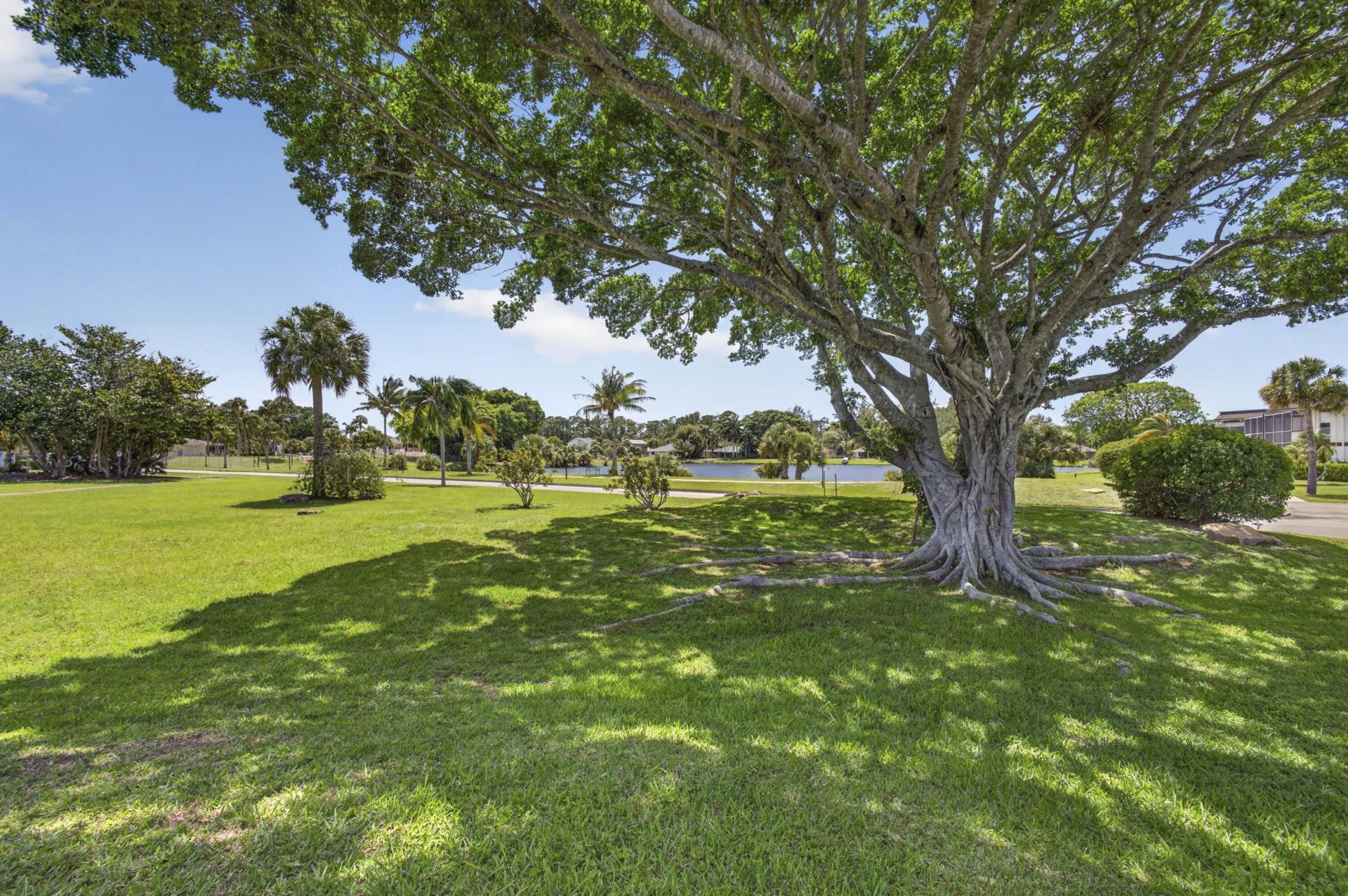 3 Greenway Vlg N, Unit 210, Royal Palm Beach, FL 33411 Photo