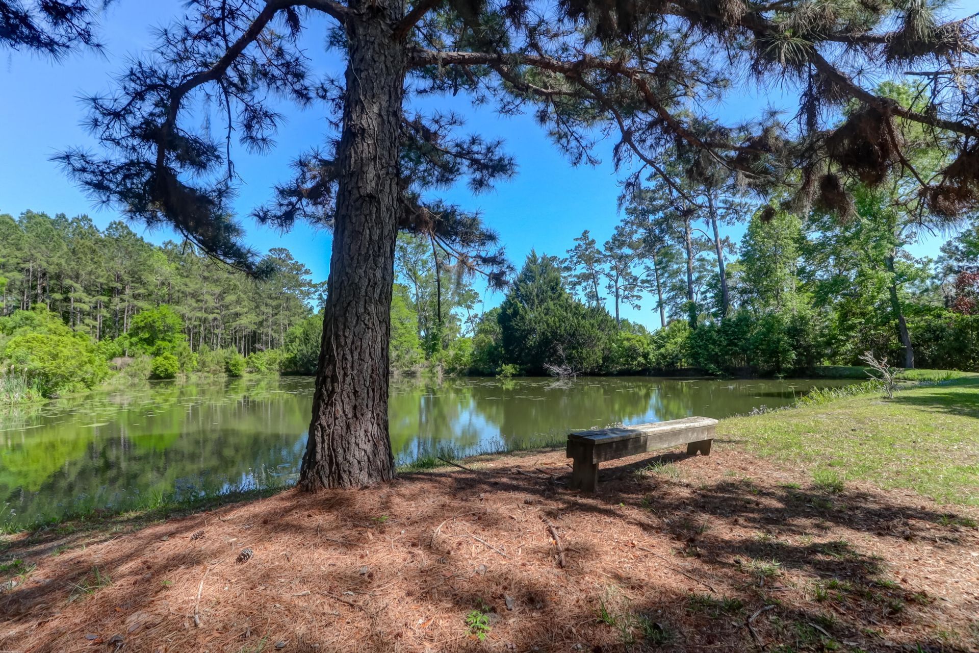 5355 Creek View Lane Photo 48