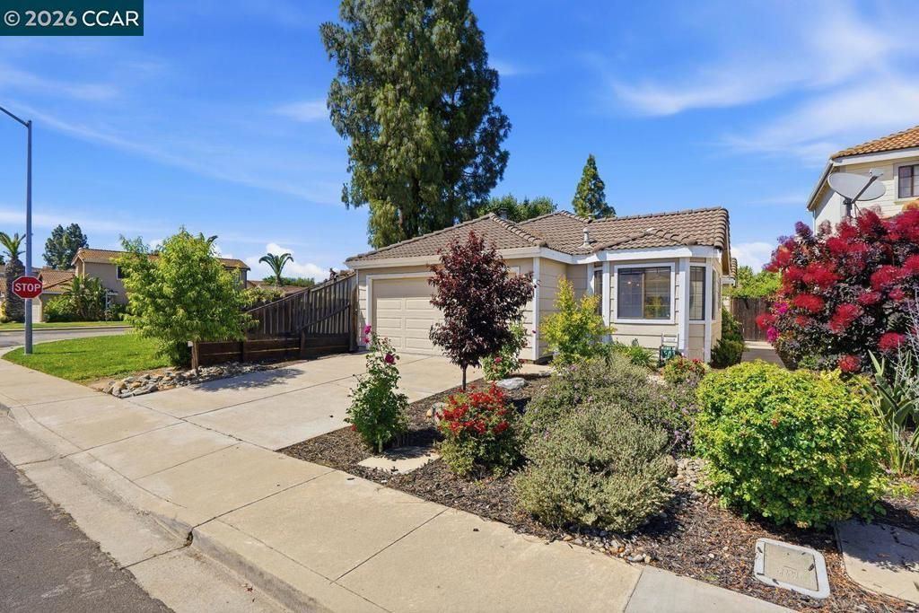 1888 Babbe St, Oakley, CA 94561 Main Photo