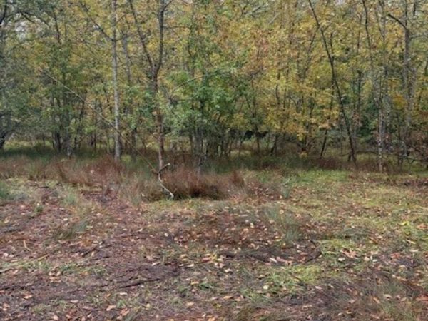 Mountain Home Dr, Brownsville, OR 97327