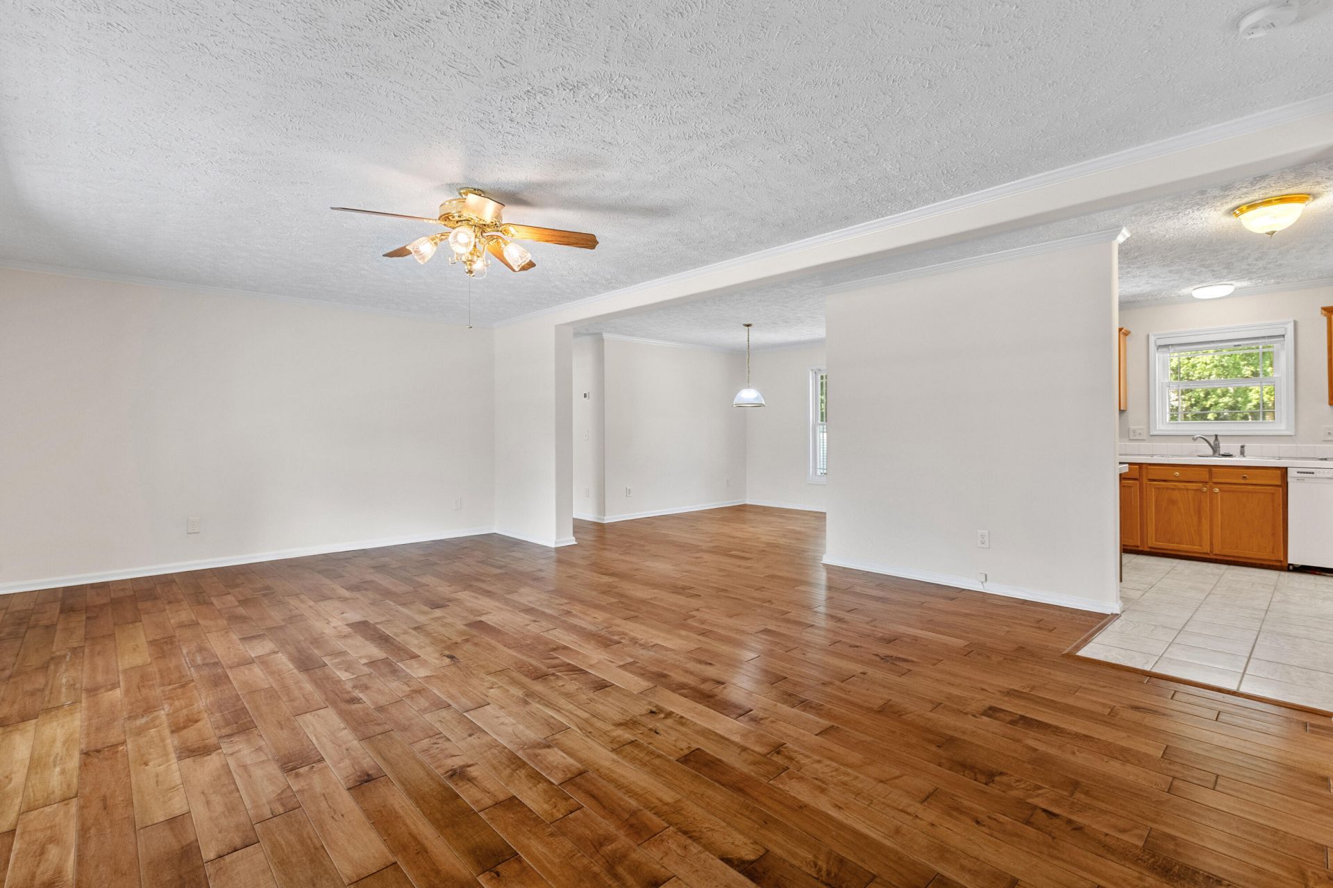 3241 Clairmont Drive Photo 6