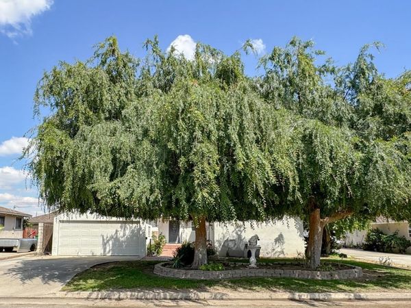 332 Oak Street, Shafter, CA 93263