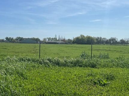 26562 Lone Tree Rd, Escalon, CA 95320 Photo