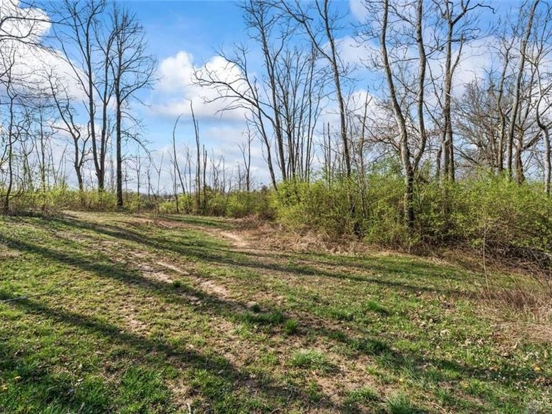 2425 Middleboro Road, Washington Township, OH 45113 Photo 17