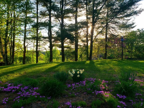 0 Cook Road, Windham, ME 04062