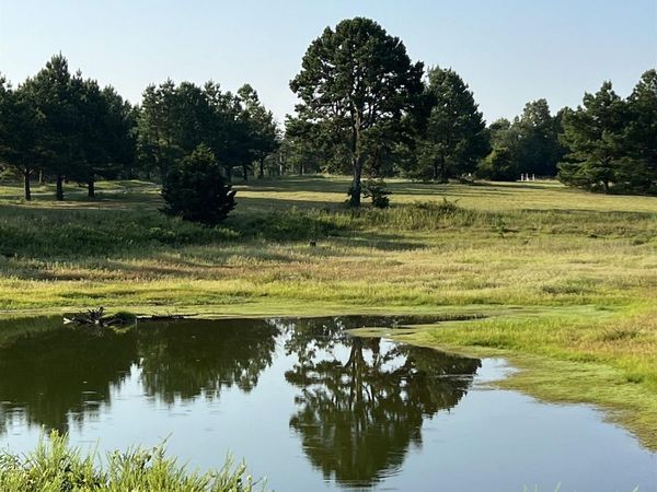 207 Spring Road , Searcy, AR 72143