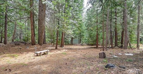 41130 Putt Rd, Emigrant Gap, CA 95715 Photo