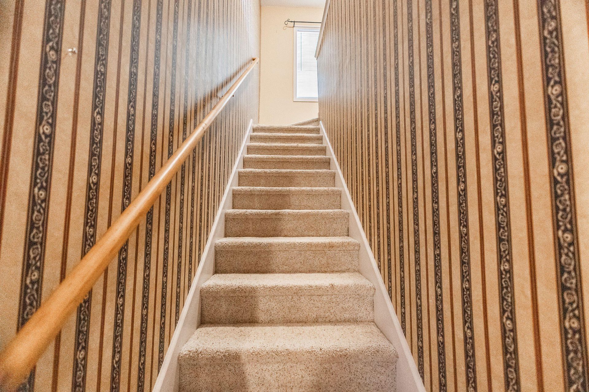 106 Chelwood Drive Photo 18