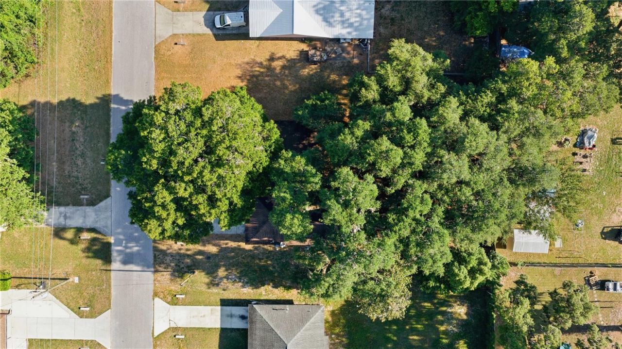 5521 NE 11th Avenue, Ocala, FL 34479 Photo