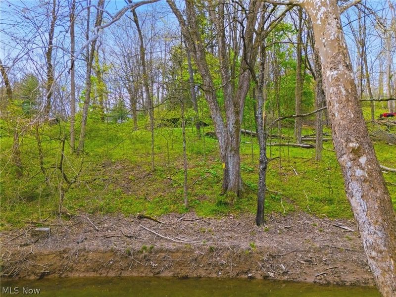 7166 Dove Road SW, Carrollton, OH 44615 Photo 17