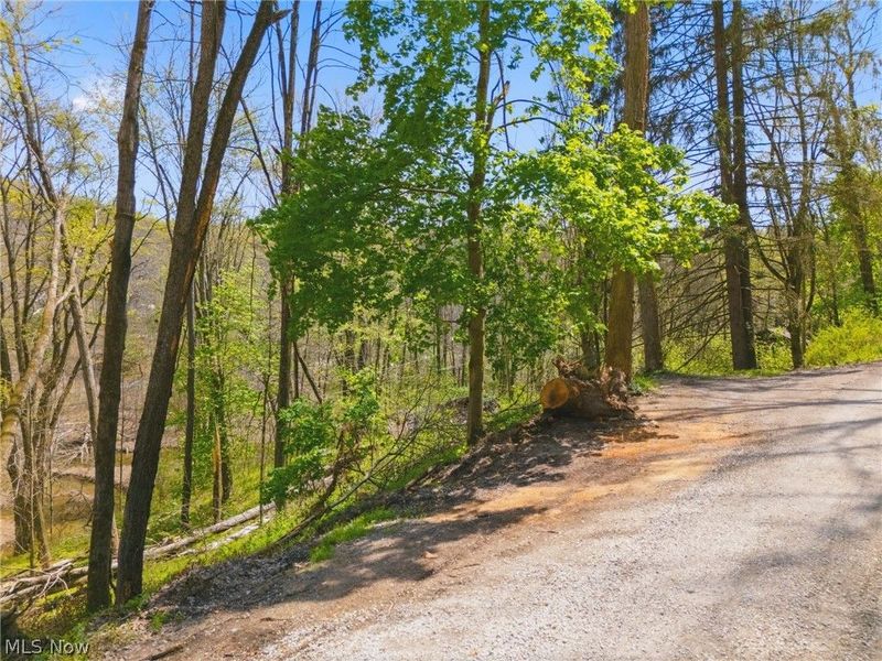 7166 Dove Road SW, Carrollton, OH 44615 Photo 9