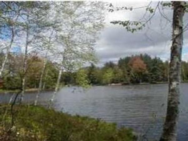 VL Lot 811 Miramichi Drive, Evart, MI 49631