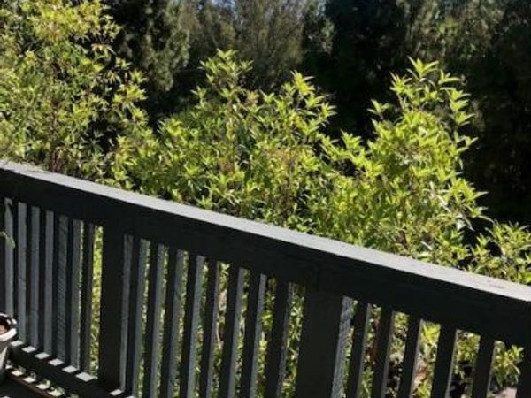 3602 W Estates, Unit 307, Rolling Hills Estates, CA 90274