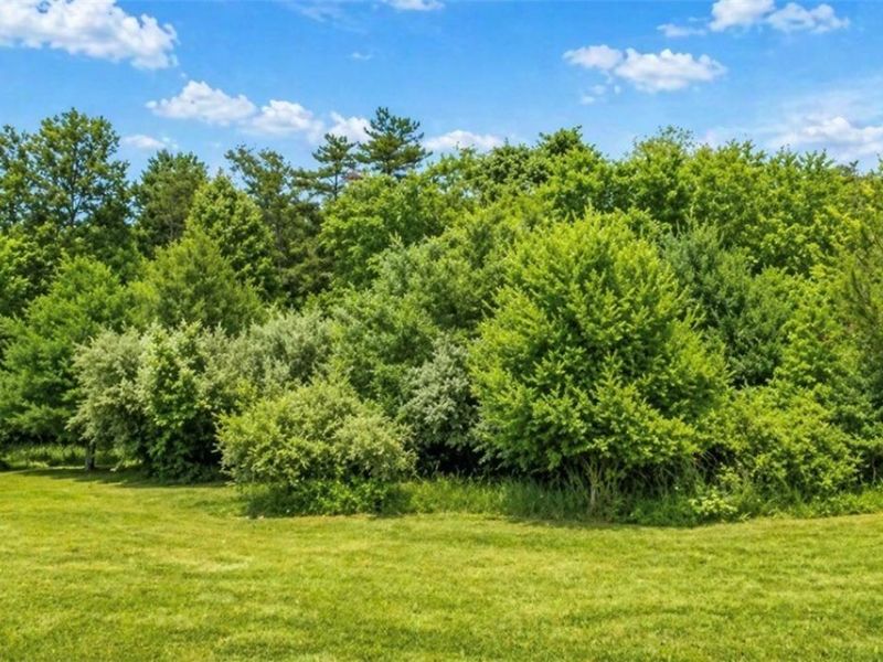 230 Thunder Rd SW, Magnolia, OH 44643 Photo 11