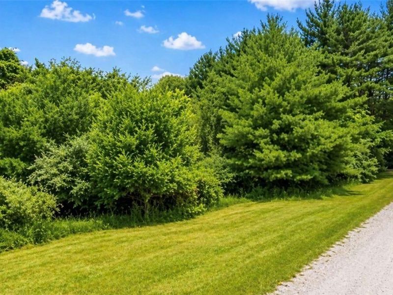 230 Thunder Rd SW, Magnolia, OH 44643 Photo 12