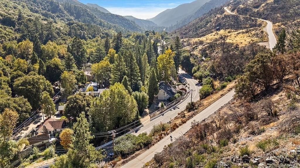 21 Mt Baldy Road, Mount Baldy, CA 91759 Main Photo