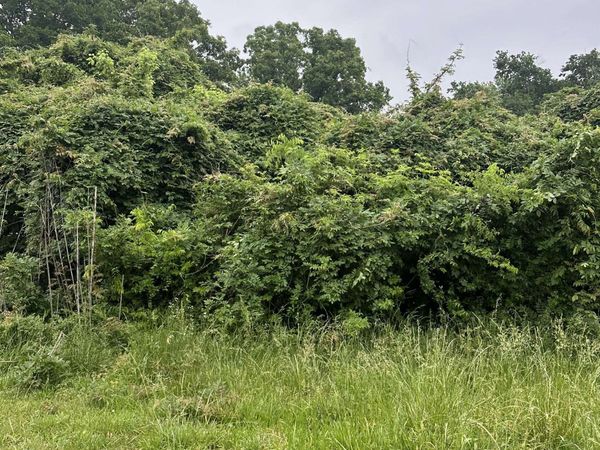 635 PURDY RD, Selmer, TN 38375