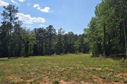 Tbd Trade Mill Road photo 4