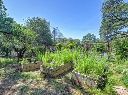 3565 Mary Ln, Auburn, CA 95602 Photo