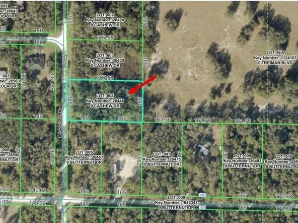 00 CASHEW DRIVE, WEBSTER, FL 33597