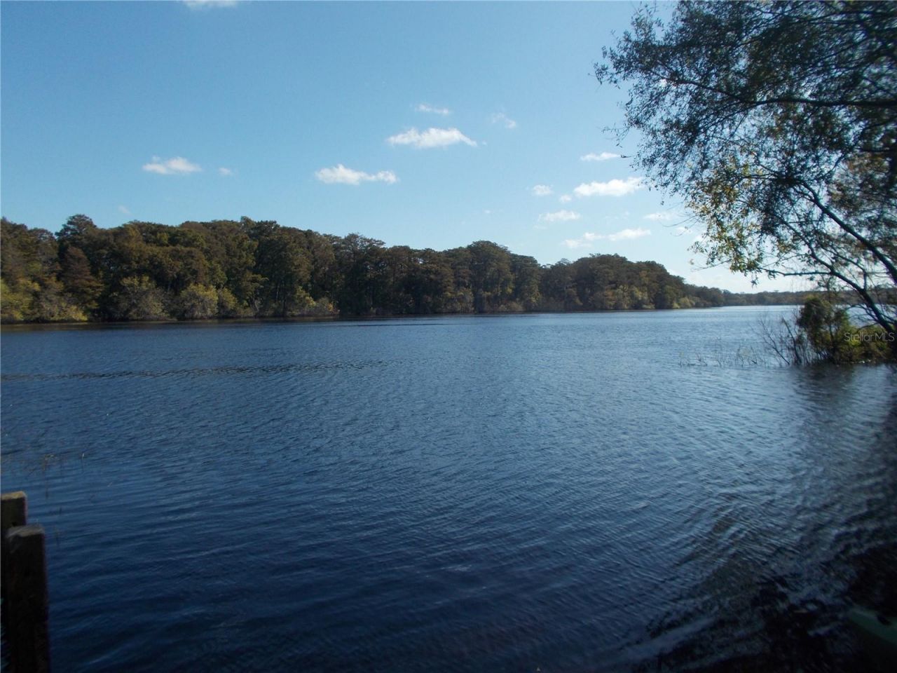 00 Cashew Drive, Webster, FL 33597 Photo